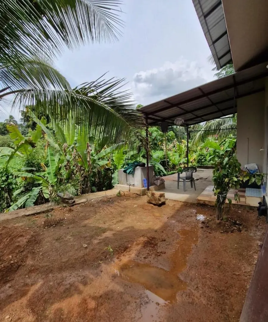 Beens Inn Properties Thodupuzha